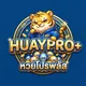 huayproplus